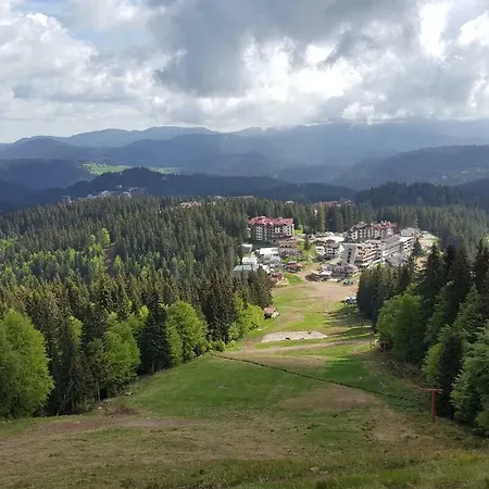 The Castle Complex - 401 * Пампорово