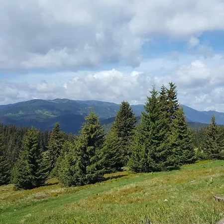 The Castle Complex - 401 Апартамент