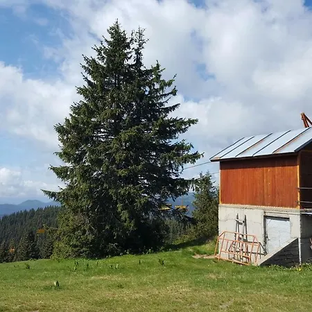 The Castle Complex - 401