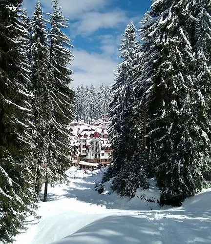 The Castle Complex - 401 *