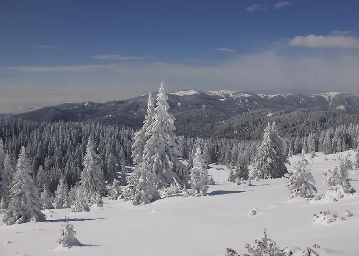 Апартамент The Castle Complex - 401