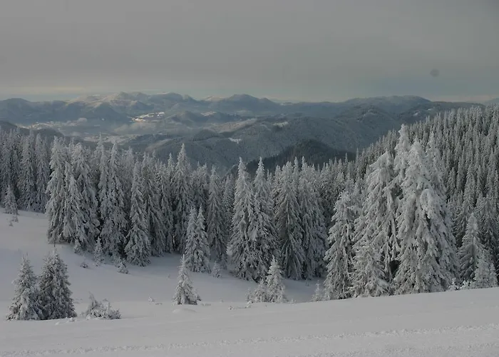 Апартамент The Castle Complex - 401