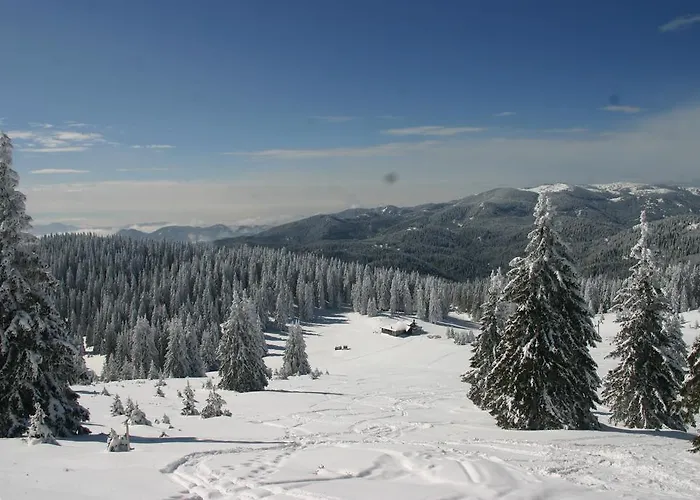 The Castle Complex - 401 Пампорово