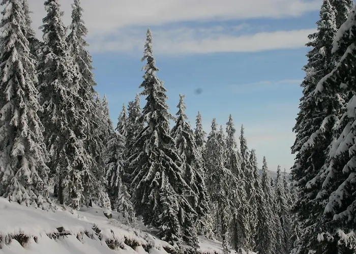 Апартамент The Castle Complex - 401 *