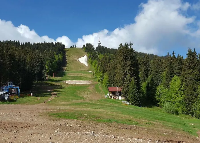 The Castle Complex - 401 شقة بامبوروفو