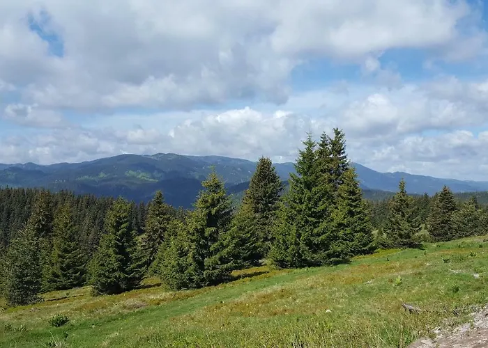 The Castle Complex - 401 Апартамент